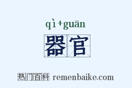 器官是什么意思的图片